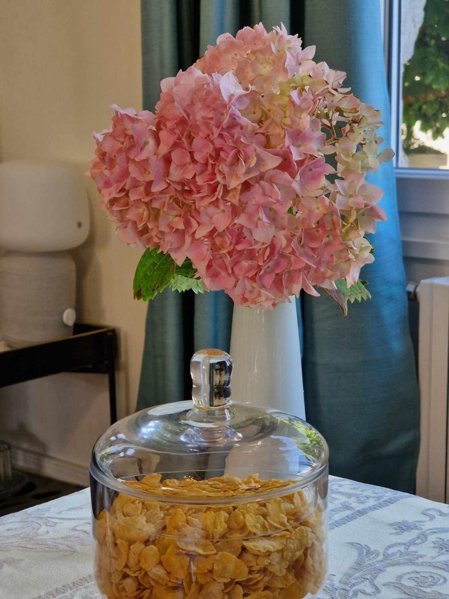 Bed & Breakfast Fresquet